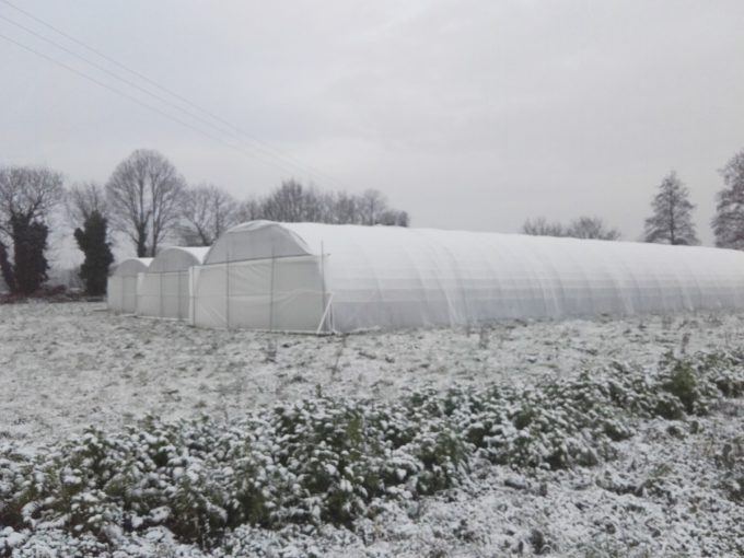 Le Potager de Sophie - serres