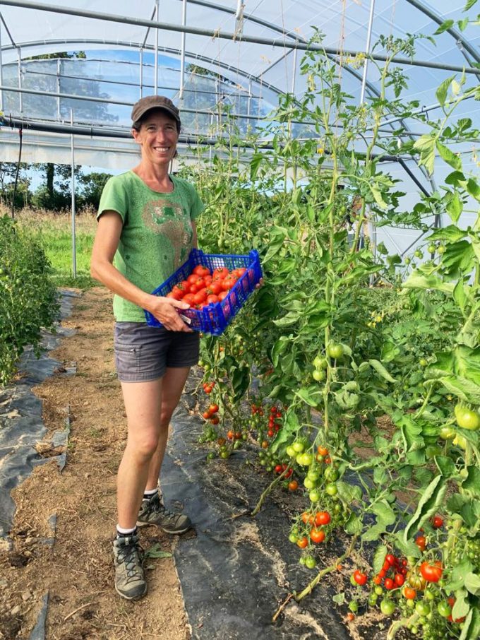 Le Potager de Sophie - cueillette
