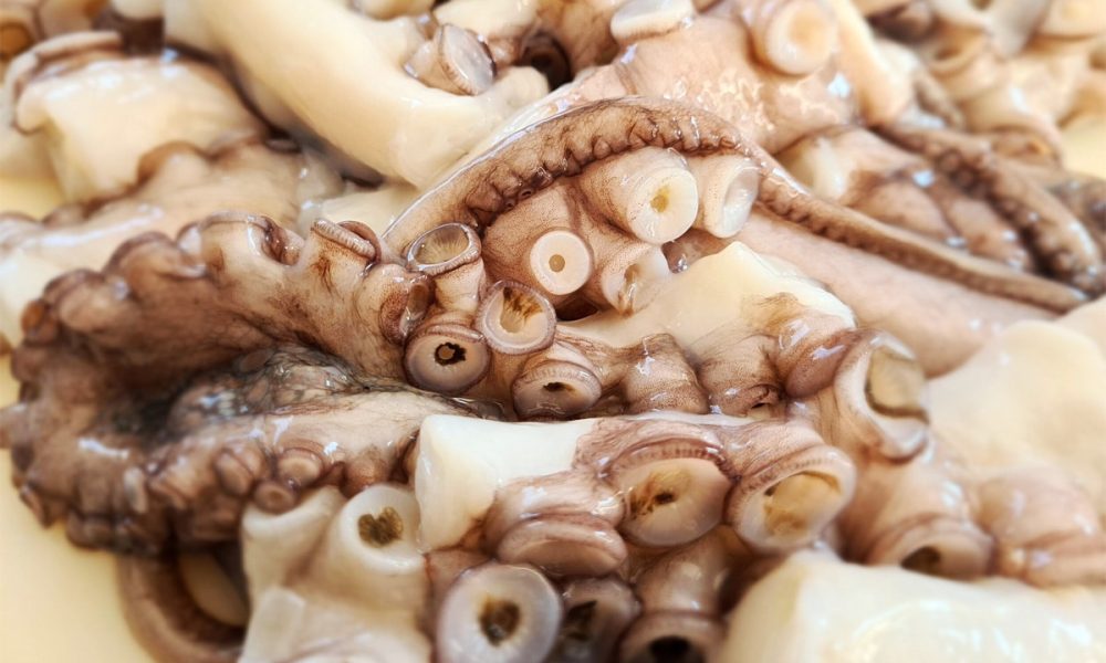 Poulpe : Quelle saison ? Comment le cuisiner ? [GUIDE]