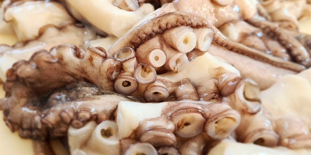 Poulpe : Quelle saison ? Comment le cuisiner ? [GUIDE]