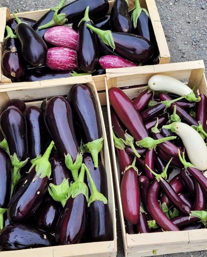 Légumes de saison