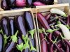 Légumes de saison