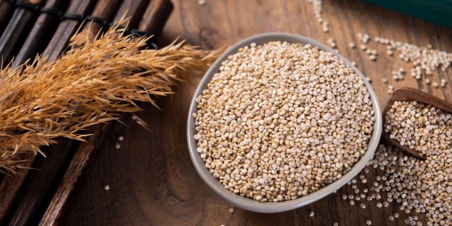 Quinoa breton : culture locale, bienfaits et idées recettes