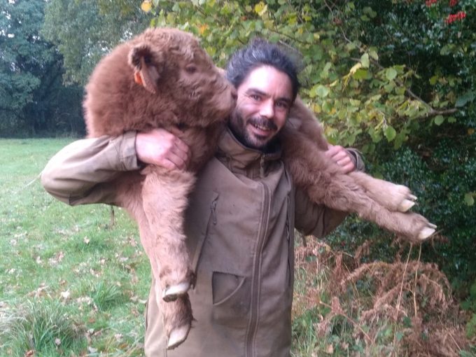 Ronan et un veau