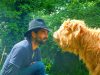 Ronan et une de ses vaches