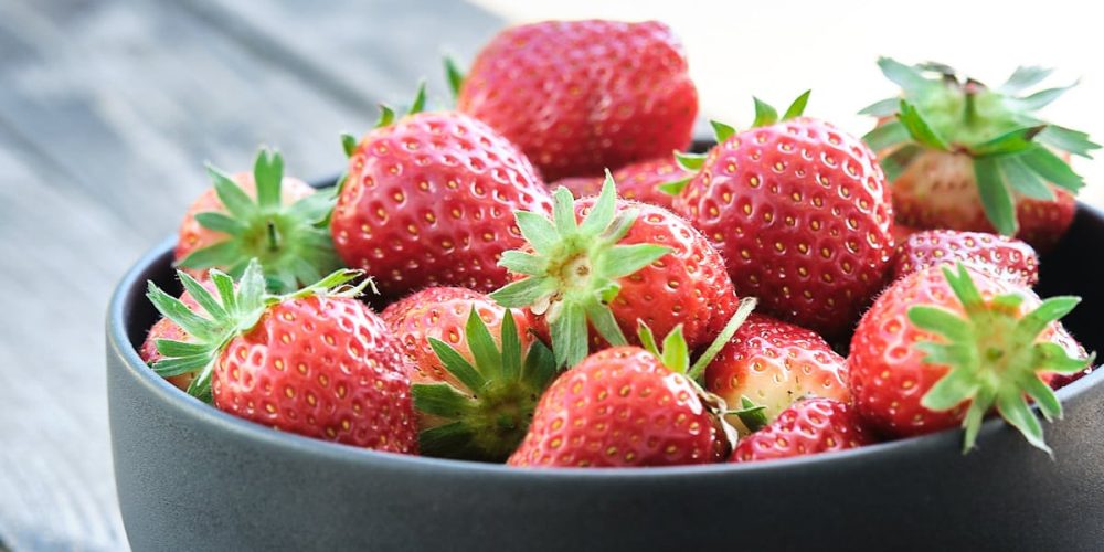 La Fraise de Plougastel : Saison, Variétés, Histoire… (GUIDE)