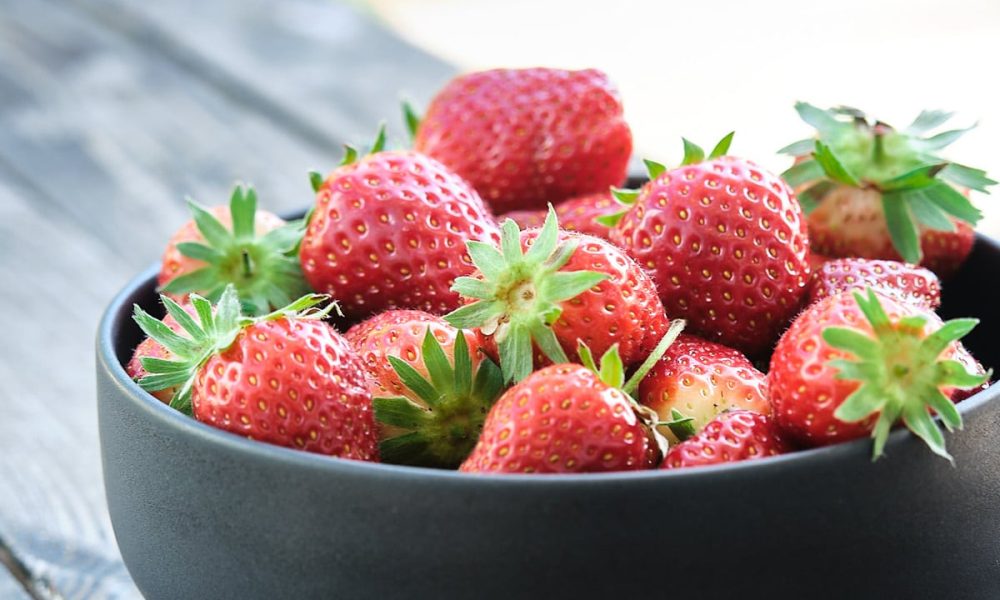 La Fraise de Plougastel : Saison, Variétés, Histoire… (GUIDE)