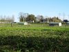 Volailles fermières
