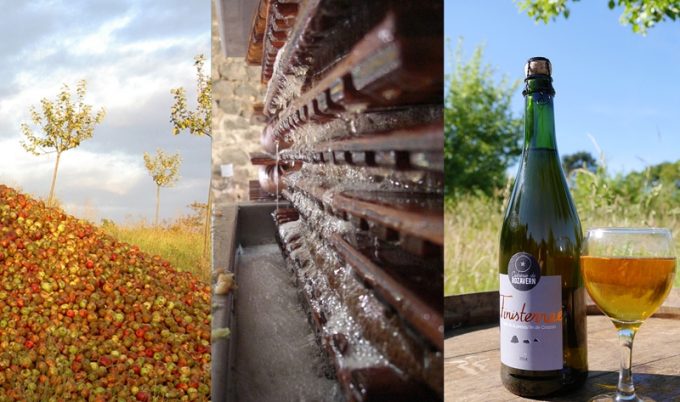 De la pomme au cidre