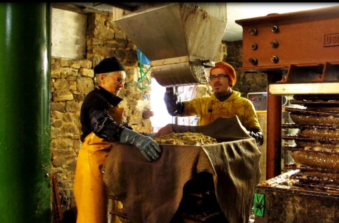 Pressage des pommes