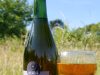Le cidre Finisterrae