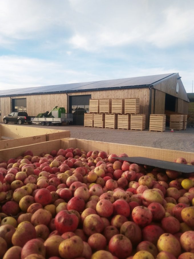Stockage des pommes