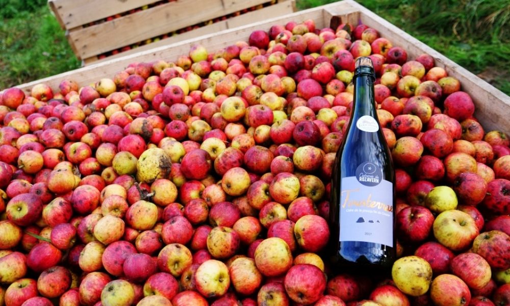 Cidre doux ou Brut ? Demi-sec ou traditionnel ? On vous guide !