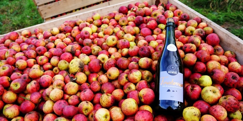 Cidre doux ou Brut ? Demi-sec ou traditionnel ? [GUIDE]