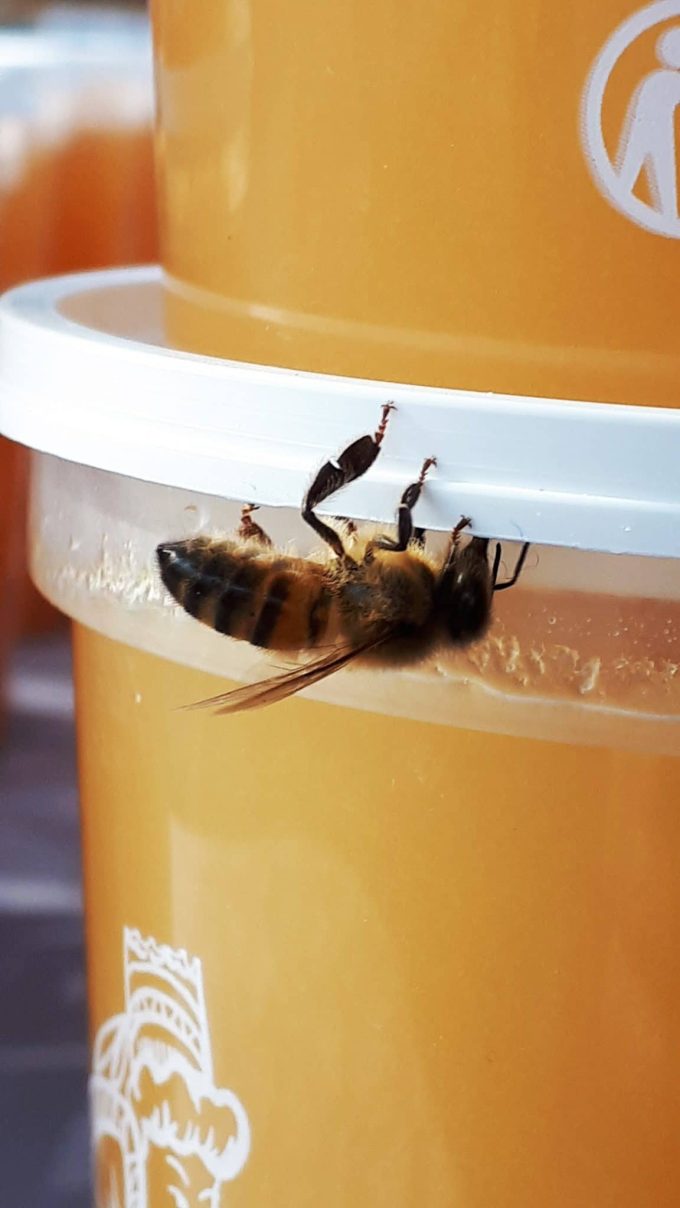 Abeille