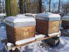 Melli'Malo - ruches sous la neige