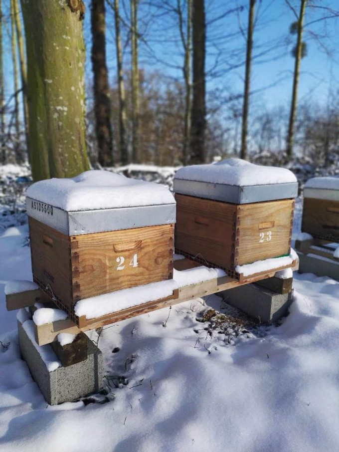 Melli'Malo - ruches sous la neige