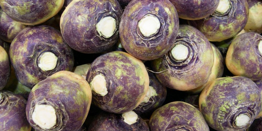 Le Rutabaga : un légume ancien à redécouvrir absolument !