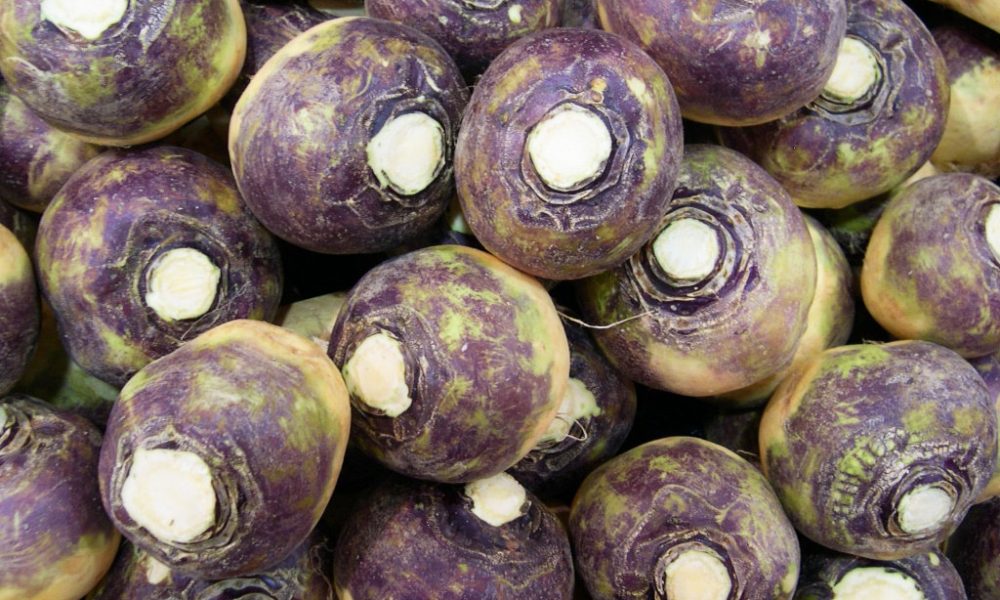 Le Rutabaga : un légume ancien à redécouvrir absolument !