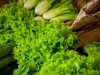 Salades fraîches !
