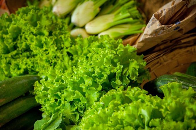 Salades fraîches !