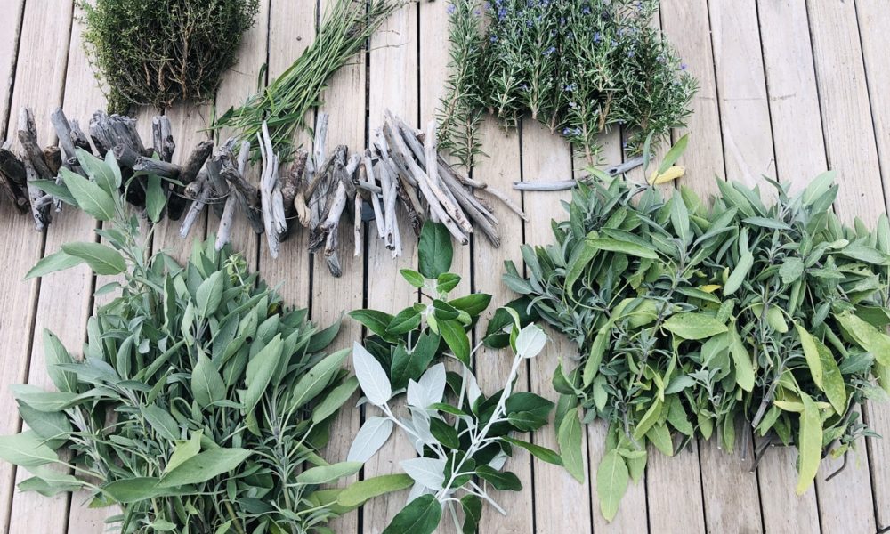 Comment sécher ses plantes aromatiques ? Le guide complet