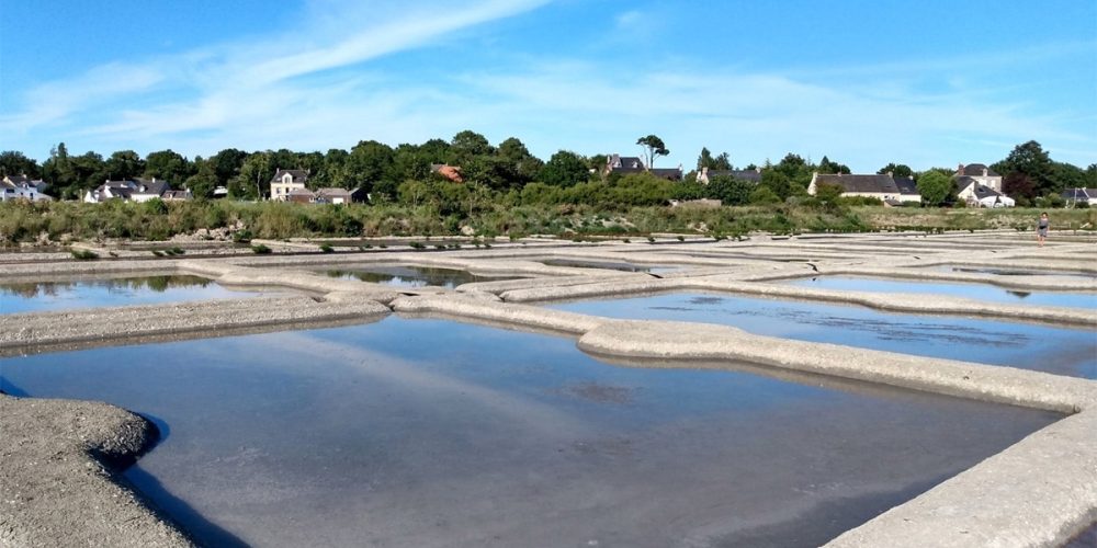 Sel de Guérande : Récolte, Origine et Utilisation en Cuisine (GUIDE)