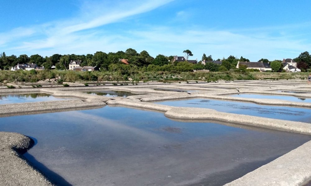 Sel de Guérande : Récolte, Origine et Utilisation en Cuisine (GUIDE)