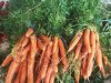 Différentes variétés de légumes en vente directe