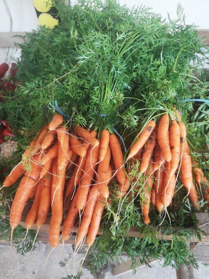 Différentes variétés de légumes en vente directe