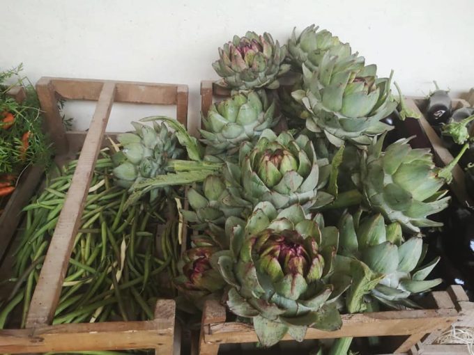 Large variété de légumes en maraîchage, le fameux artichaut