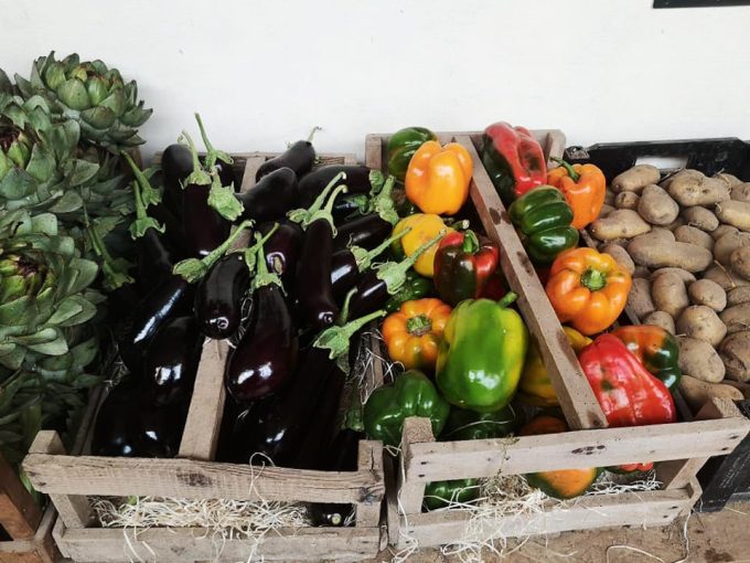 Large variété de légumes en maraîchage