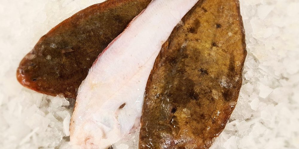 Quand manger de la Sole (saison) ? Comment la cuisiner ? (GUIDE)