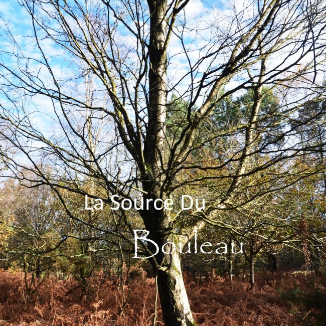 La Source du Bouleau