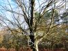La Source du Bouleau