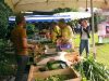 Marché du mardi (été)