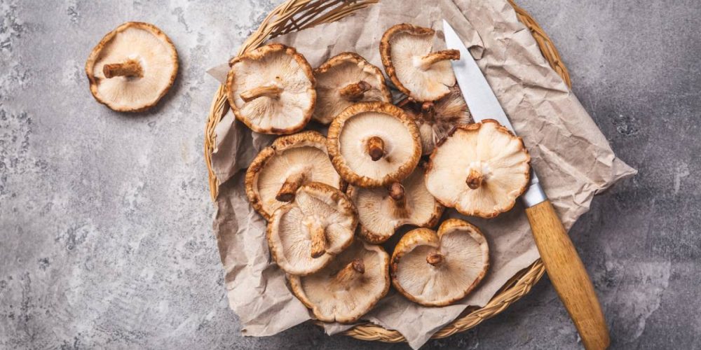 Le shiitake mérite-t-il son statut de super-aliment ?