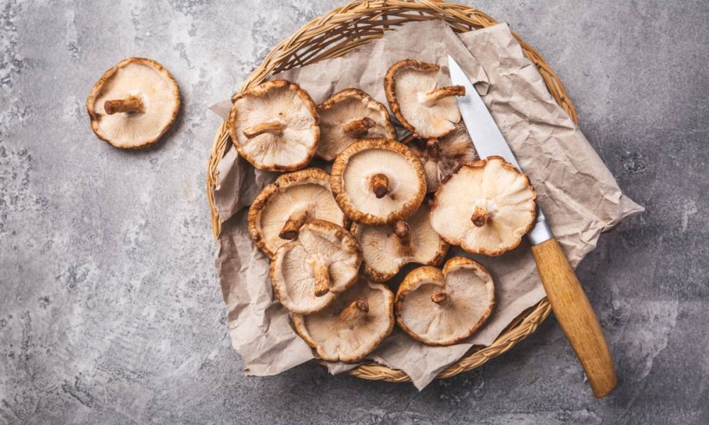 Le shiitake mérite-t-il son statut de super-aliment ?