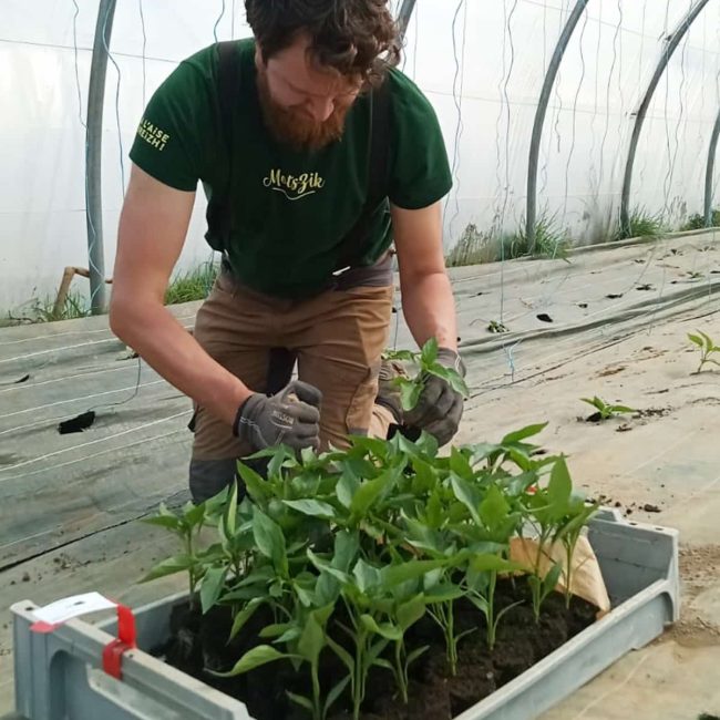 T&rsquo;Air à Terre