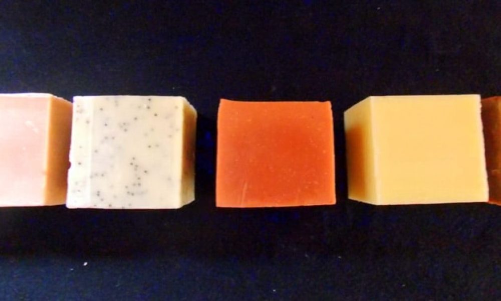 Terre de l&rsquo;Île : Producteur de savon artisanal à Douarnenez !