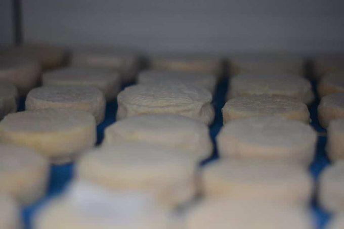 Des fromages tout frais 