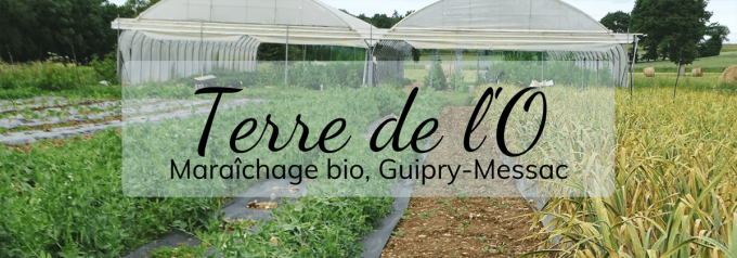 Terre de l'O - logo