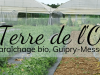Terre de l'O - logo