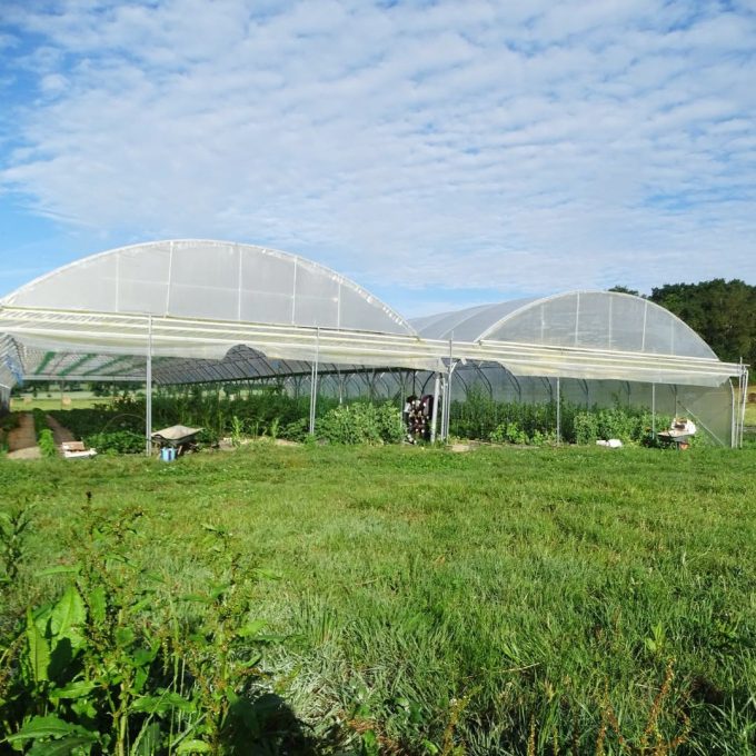 Terre de l'O - sous serres