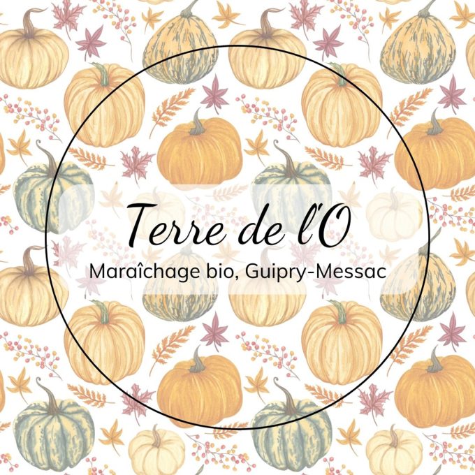 Terre de l'O - bio légumes
