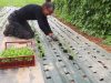 Terre de l'O - plantation
