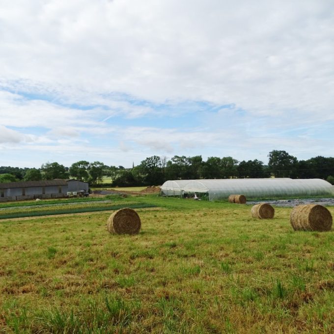 Terre de l'O - vue d'ensemble