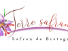 Terre Safranée - logo