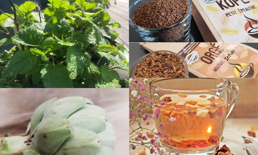 Top 10 des infusions et tisanes 100 % bretonnes