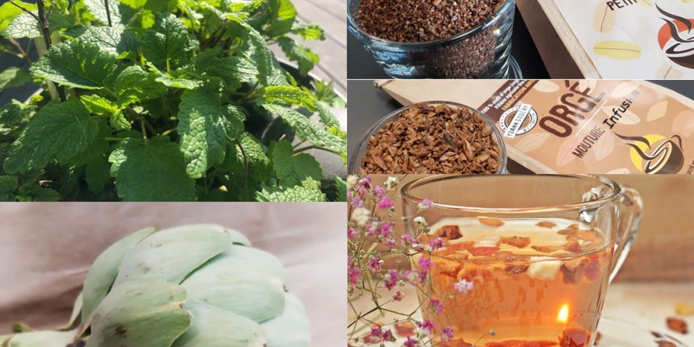 Top 10 des infusions et tisanes 100 % bretonnes
